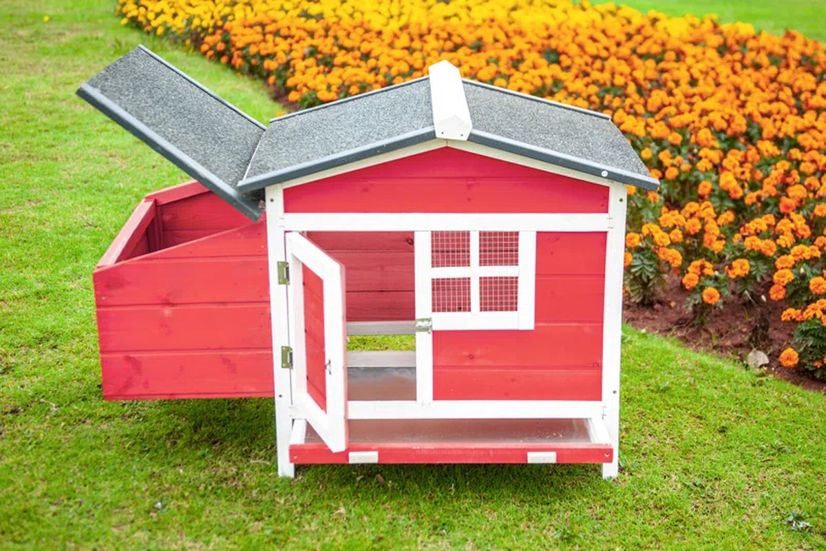 Daundre 5.64 Square Feet Chicken Coop for up to 1 Chickens
