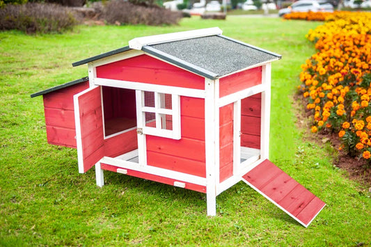 Daundre 5.64 Square Feet Chicken Coop for up to 1 Chickens