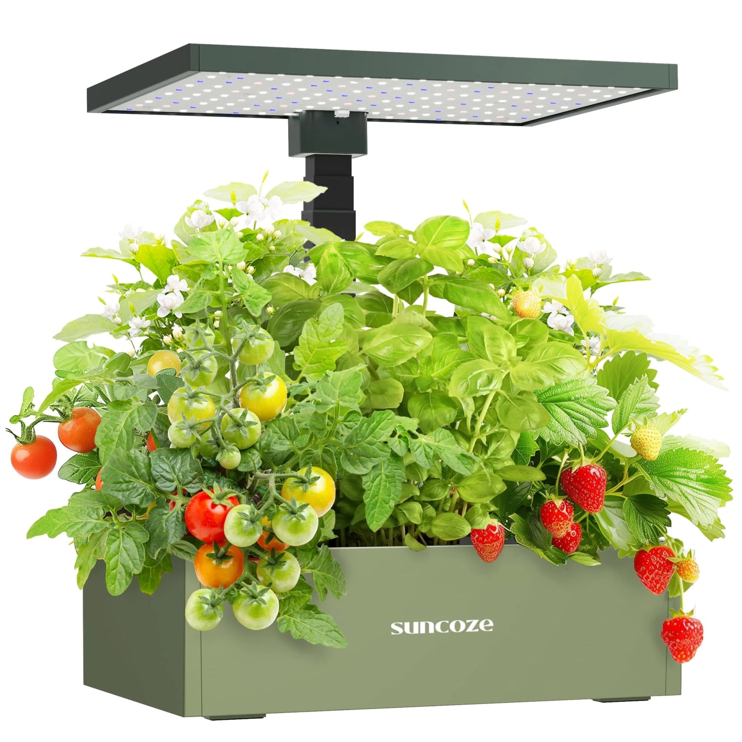 20 Pods Hydroponic Growing System Indoor Herb Garden with Grow Light Germination Starter Kit Green