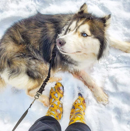 Women'S Rain & Garden Chicken Print Boot