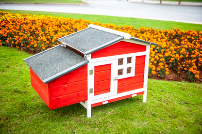 Daundre 5.64 Square Feet Chicken Coop for up to 1 Chickens